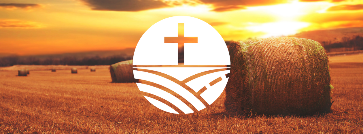 Bountiful Harvest 2025 Auction